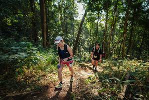 BIB: 
                            <button type="button" onclick="openModal(22550242)" class="btn btn-primary btn-sm float-right btn-popup" data-toggle="modal" data-target=".modal-high-quality">
                        <i class="fas fa-shopping-cart"></i> Add to Cart
                    </button>
                                            <button type="button" onclick="isThisMe(22550242, true)" class="btn btn-success btn-sm float-right btn-popup btn-isme hidden" data-toggle="tooltip" data-placement="bottom" title="นี่คือรูปของคุณใช่ไหม คลิกที่นี่เพื่อเอาเข้าอัลบั้ม">
                        <i class="fas fa-plus"></i> Add to album
                    </button>
                    <button type="button" onclick="isThisMe(22550242, false)" class="btn btn-warning btn-sm float-right btn-popup btn-isnotme hidden">
                        <i class="fas fa-ban"></i> Remove from album
                    </button>